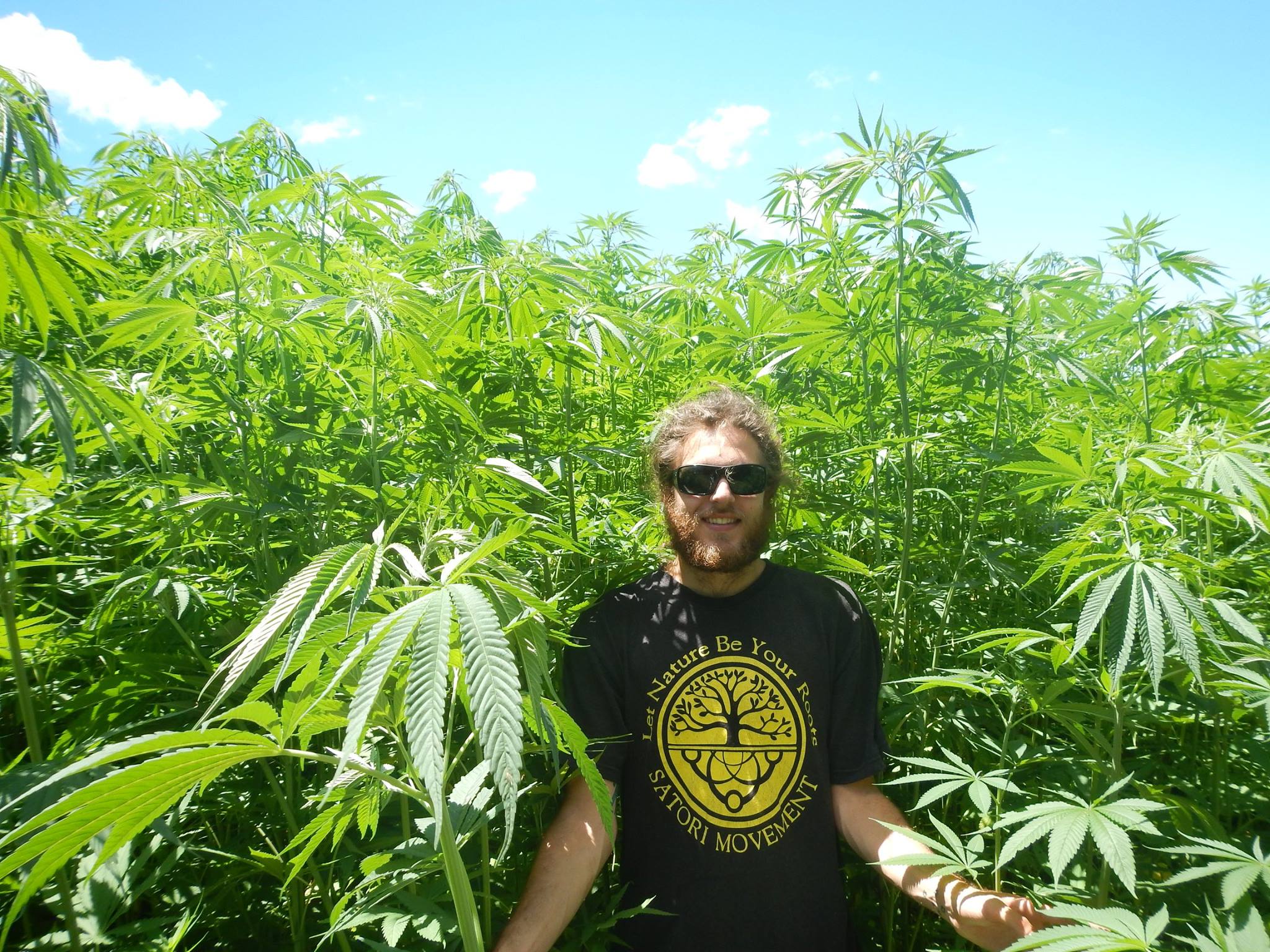 hemp-farm-bellingen-2013