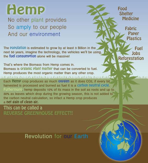 hemp-inforgraphic-2