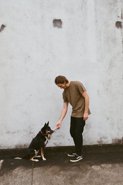 Hemp Clothing Australia Men's Classic Hemp Tee in Olive