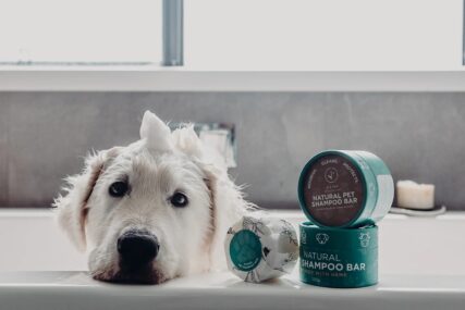 dog in bath being washed with hemp collective pet shampoo bar