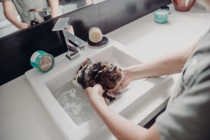 dog in sink being washed with hemp collective pet shampoo bar