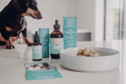 Hemp Collective - Pet Balance Oil 200ml - Image 5