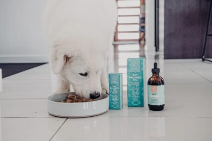 Hemp Collective - Pet Balance Oil 200ml - Image 4