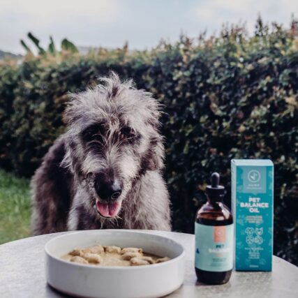 Hemp Collective - Pet Balance Oil 200ml - Image 6