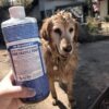 Dr Bronner's - Citrus Pure Castile Soap 473ml - Image 5