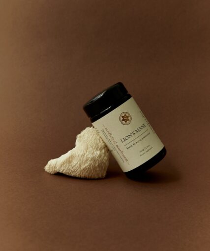 Superfeast - Lions Mane - Image 3