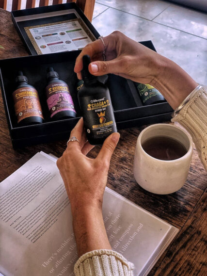 Life Cykel - Chaga Double Extract 60ml - Image 3
