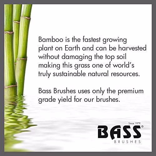 Bass - Large Wide and Fine Tooth Comb