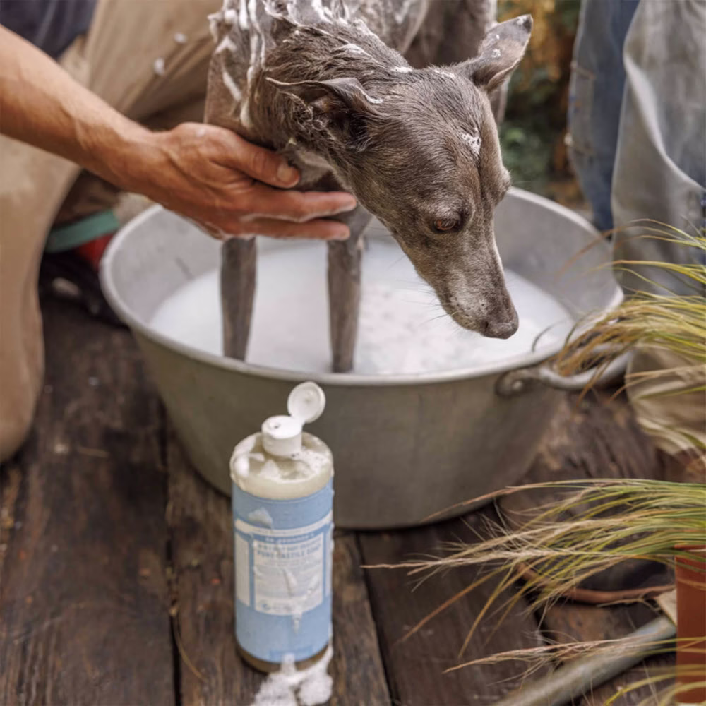Dr Bronner's - Sandalwood & Jasmine Pure Castile Soap 237ml