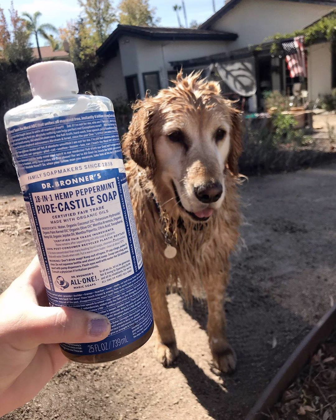 Dr Bronner's - Citrus Pure Castile Soap 473ml