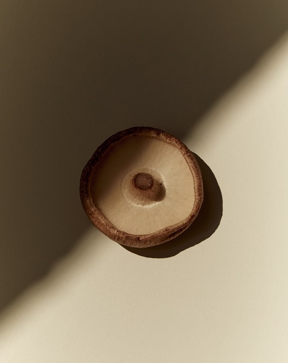 Superfeast - Shiitake